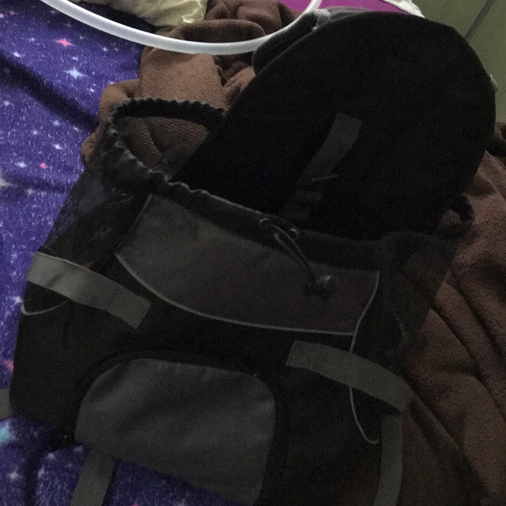 Dog carrying back pack